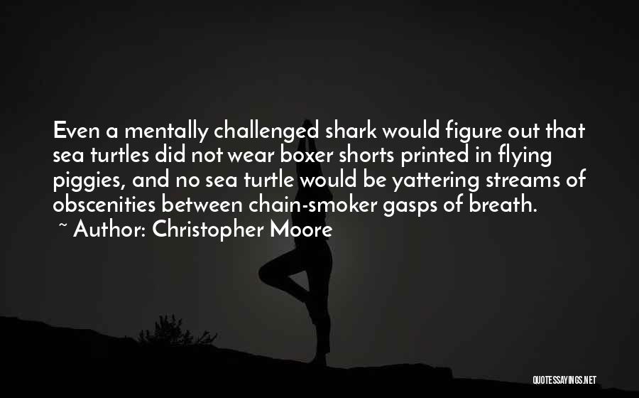 Sea Turtle Love Quotes By Christopher Moore