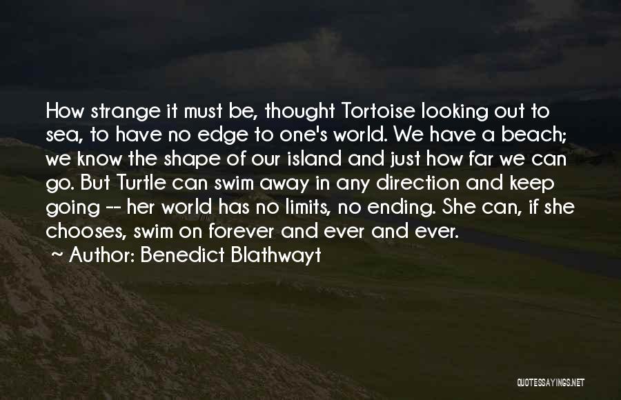 Sea Turtle Quotes By Benedict Blathwayt