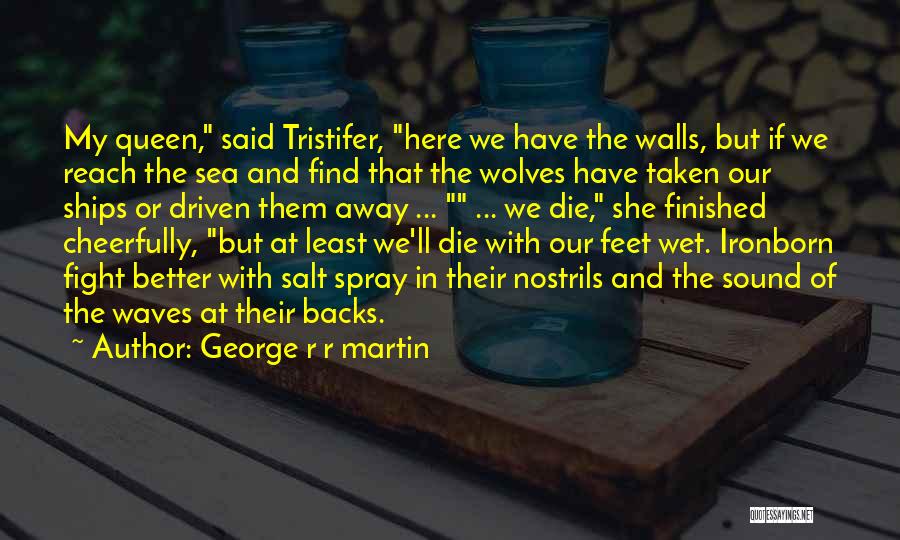 Sea Waves Sound Quotes By George R R Martin