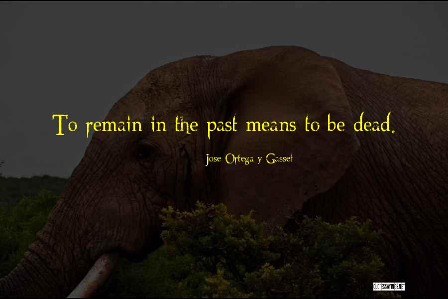 Seabathers Eruption Quotes By Jose Ortega Y Gasset Seabathers Eruption Quotes By Jose Ortega Y Gasset