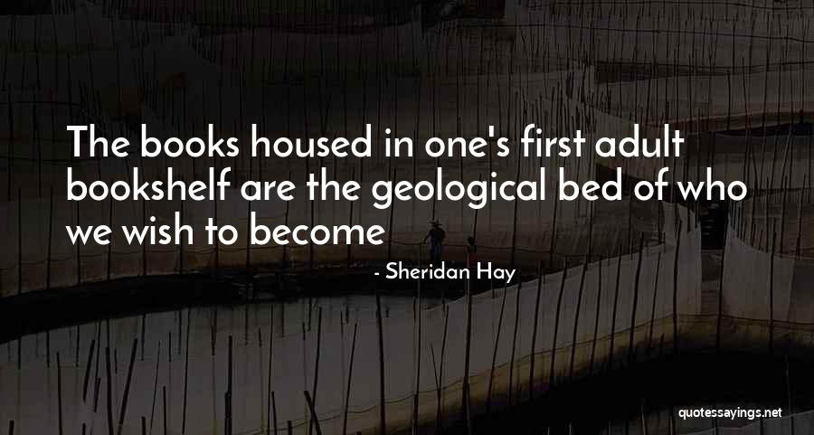 Seabirds Of Florida Quotes By Sheridan Hay Seabirds Of Florida Quotes By Sheridan Hay