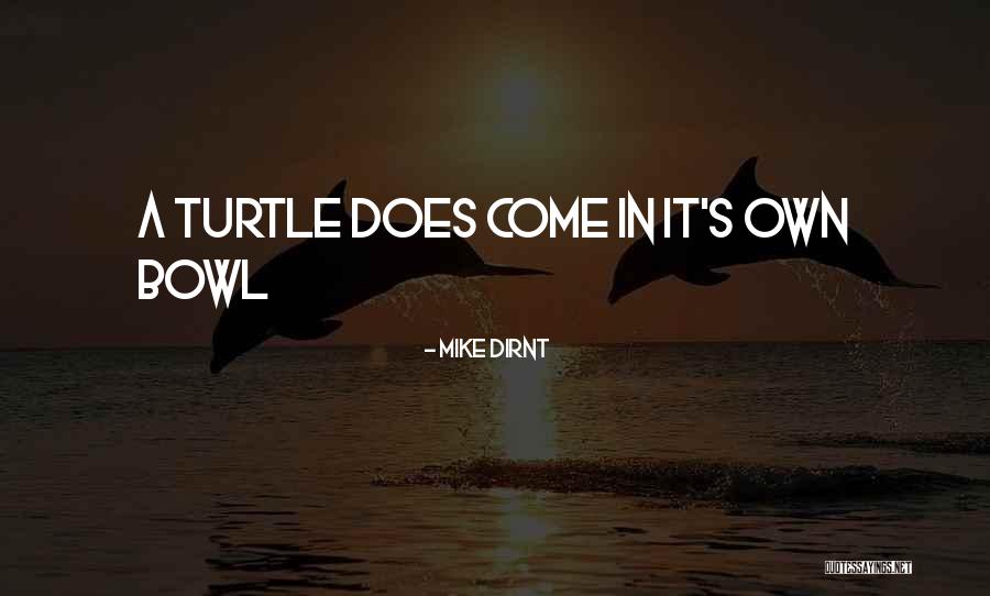 Seaburn Redevelopment Quotes By Mike Dirnt