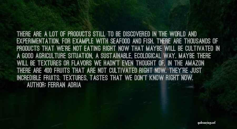 Seafood Quotes By Ferran Adria