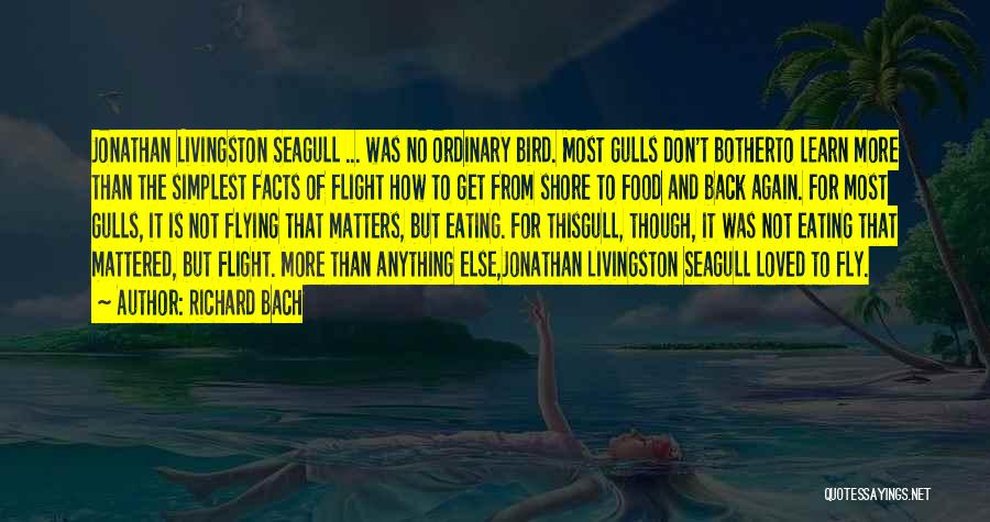 Seagull Jonathan Livingston Quotes By Richard Bach