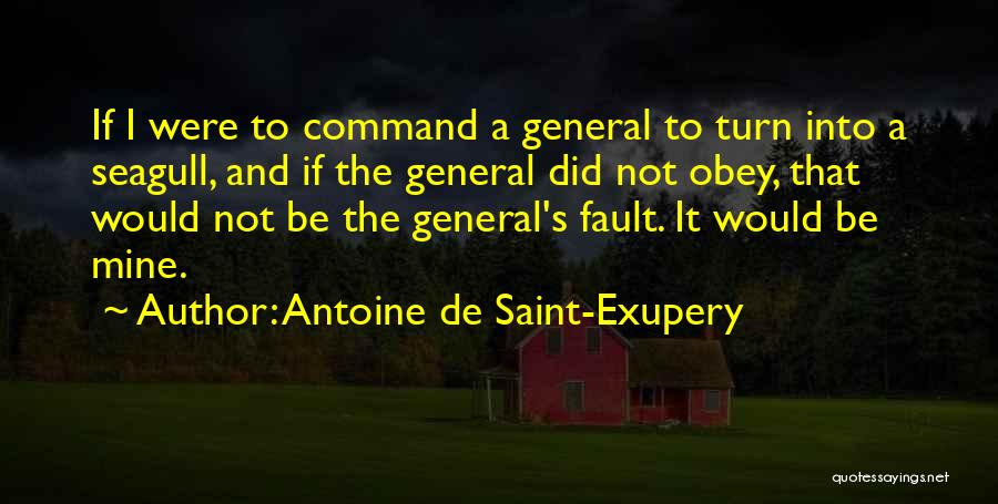 Seagull Quotes By Antoine De Saint-Exupery