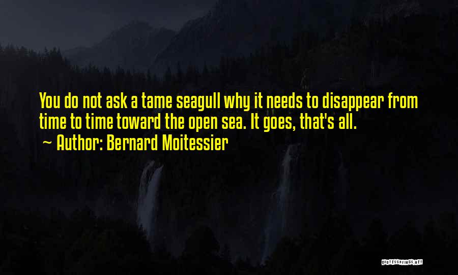 Seagull Quotes By Bernard Moitessier