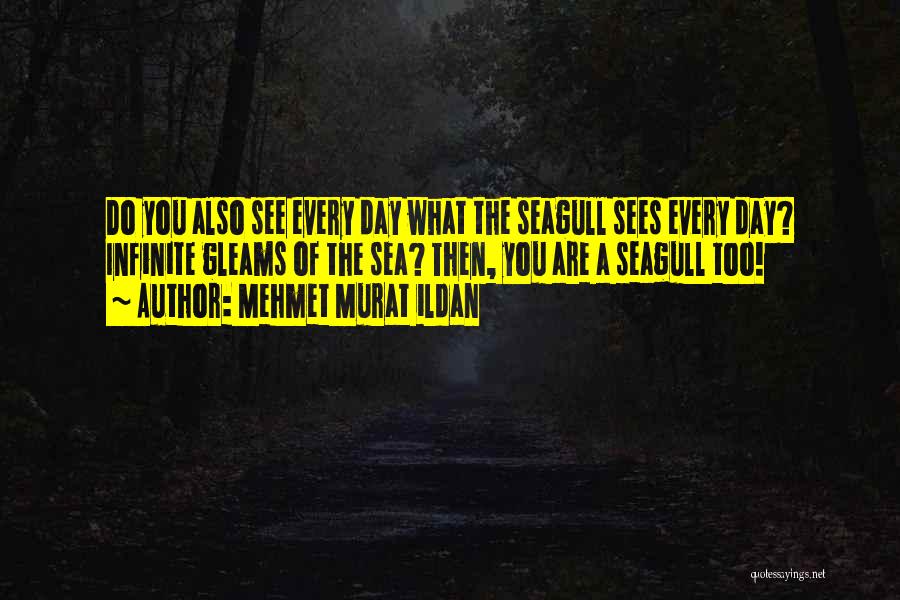 Seagull Quotes By Mehmet Murat Ildan