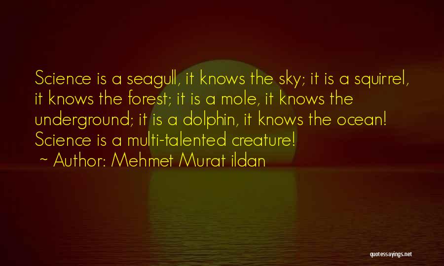 Seagull Quotes By Mehmet Murat Ildan