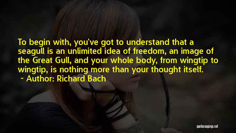 Seagull Quotes By Richard Bach
