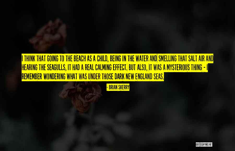 Seagulls Beach Quotes By Brian Skerry Seagulls Beach Quotes By Brian Skerry