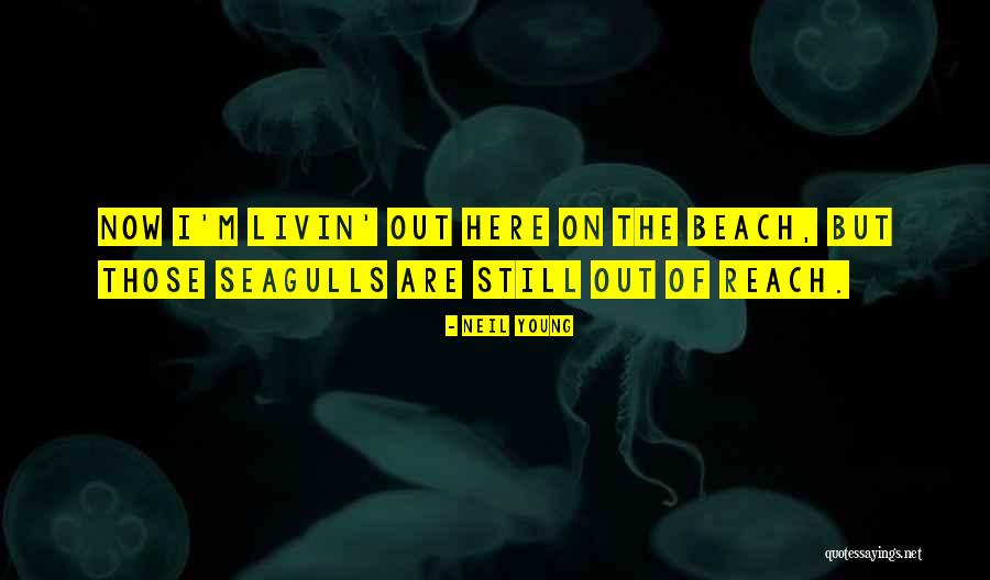 Seagulls Beach Quotes By Neil Young Seagulls Beach Quotes By Neil Young