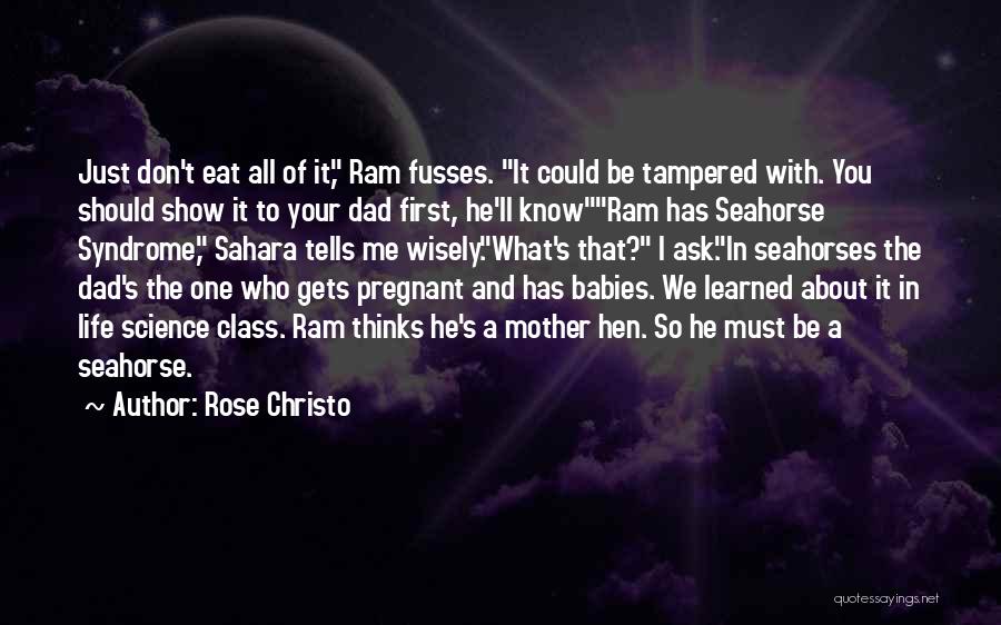 Seahorses Quotes By Rose Christo