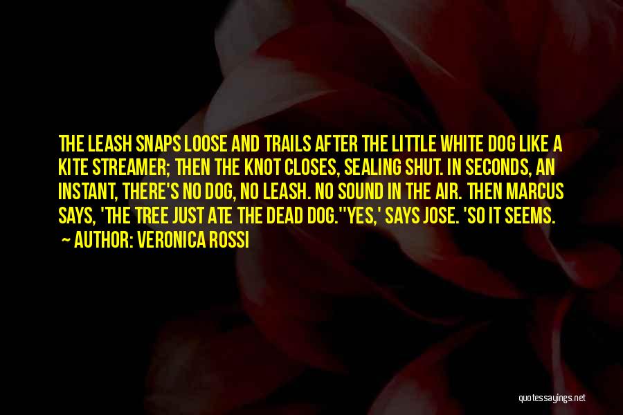 Sealing Quotes By Veronica Rossi