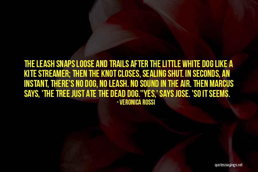 Sealing Quotes By Veronica Rossi