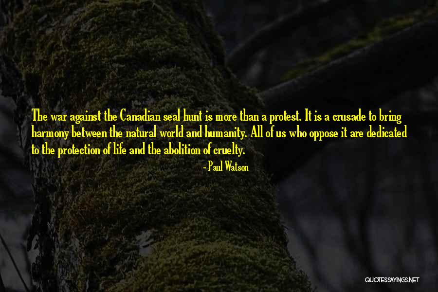 Seals Animals Quotes By Paul Watson Seals Animals Quotes By Paul Watson