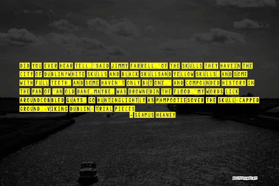 Seamus Heaney Quotes 1266409 Seamus Heaney Quotes 1266409