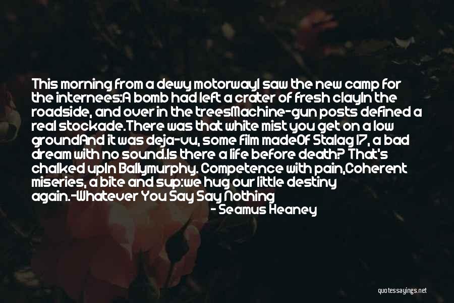 Seamus Heaney Quotes 1898900 Seamus Heaney Quotes 1898900