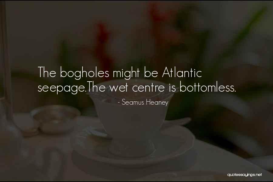 Seamus Heaney Quotes 1901308