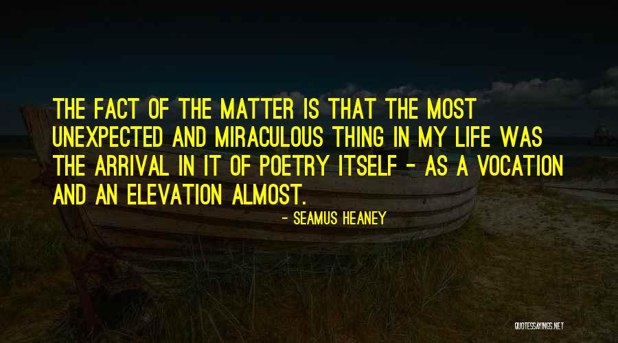 Seamus Heaney Quotes 284963