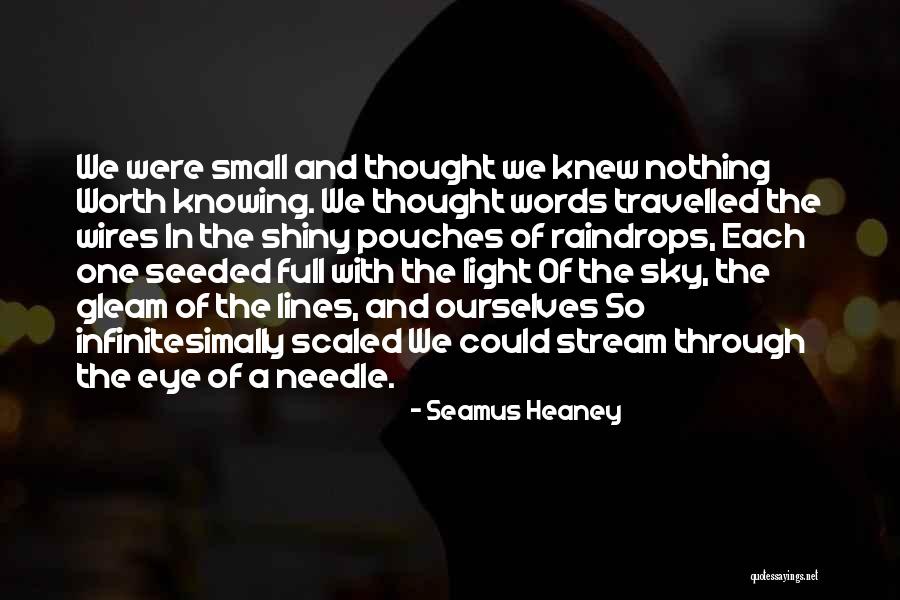 Seamus Heaney Quotes 424426