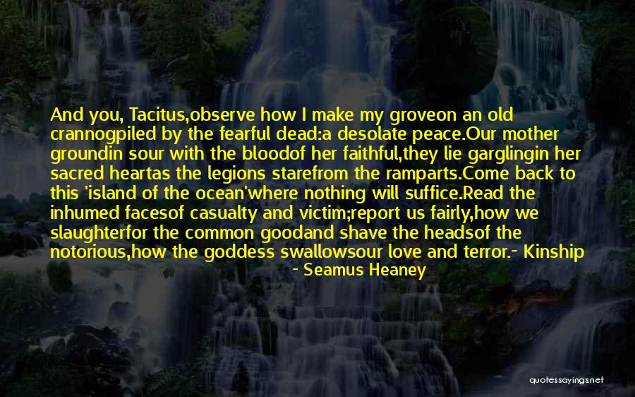 Seamus Heaney Quotes 588501 Seamus Heaney Quotes 588501