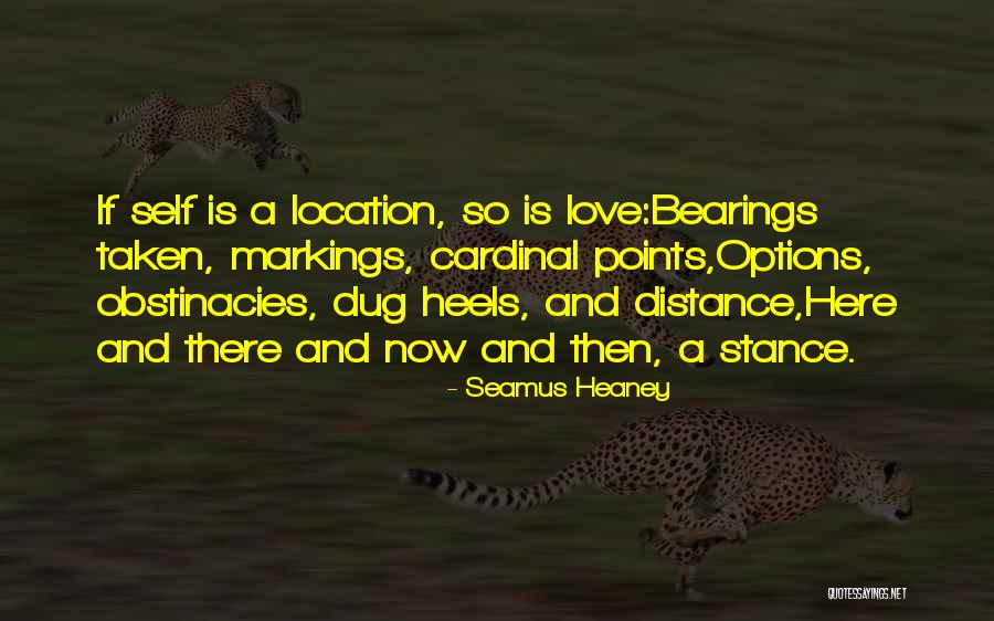 Seamus Heaney Quotes 657905