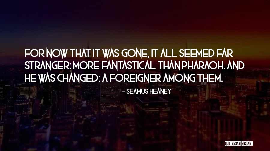 Seamus Heaney Quotes 729084