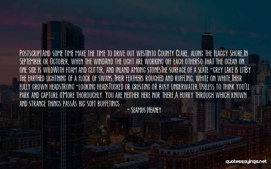 Seamus Heaney Quotes 874240 Seamus Heaney Quotes 874240