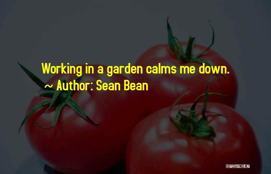 Sean Bean Quotes 1346324