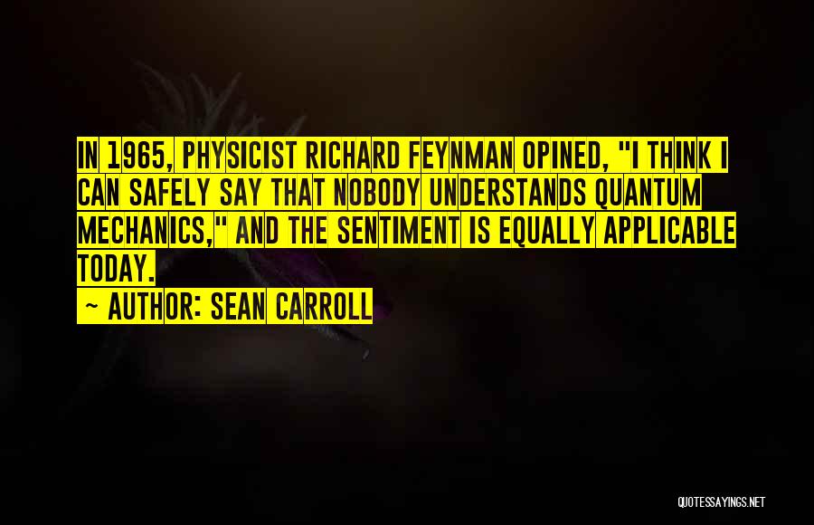 Sean Carroll Quotes 1261896