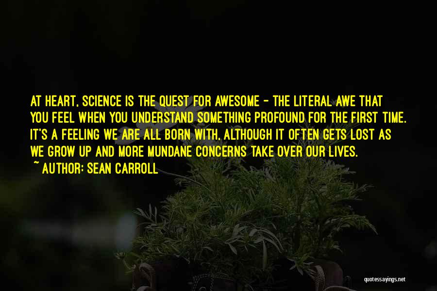 Sean Carroll Quotes 1839740