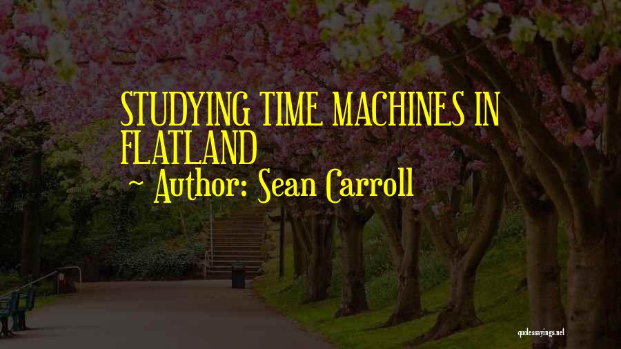 Sean Carroll Quotes 228162