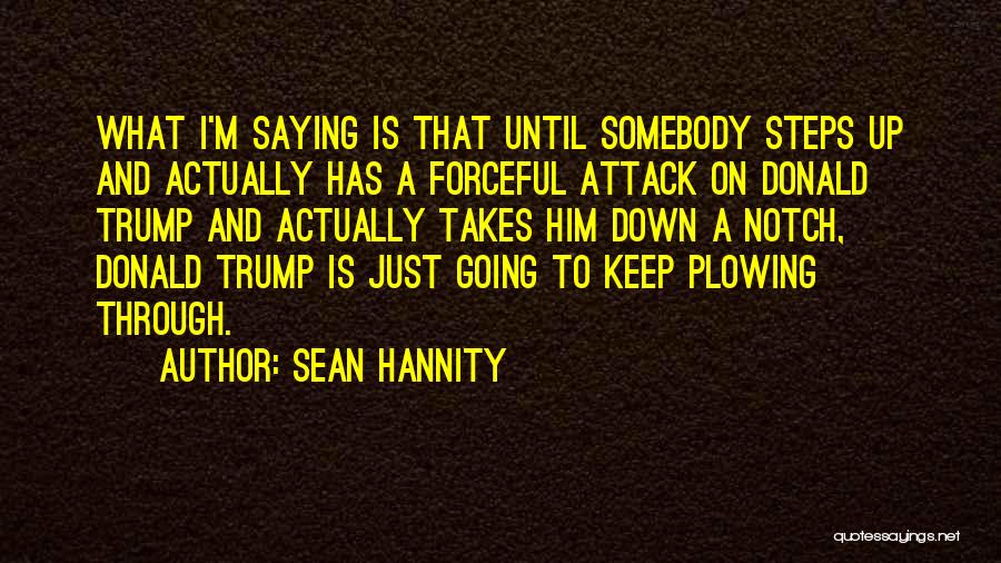 Sean Hannity Quotes 1217306