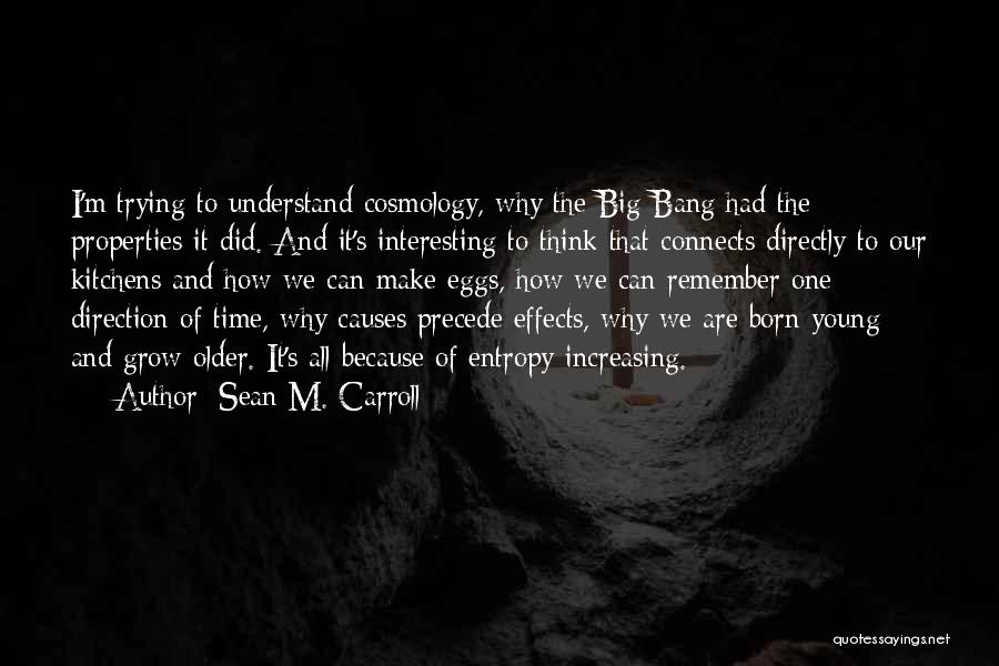 Sean M. Carroll Quotes 1254364