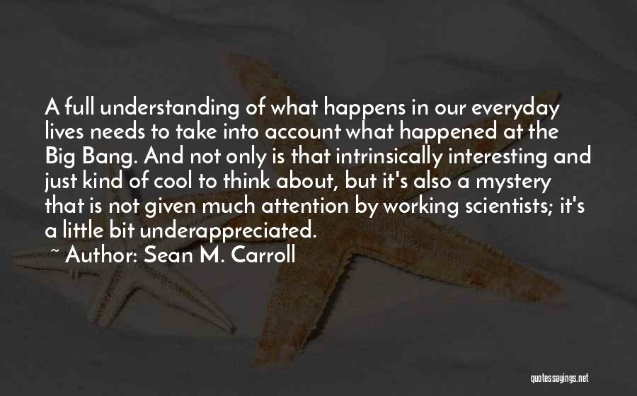 Sean M. Carroll Quotes 2135384