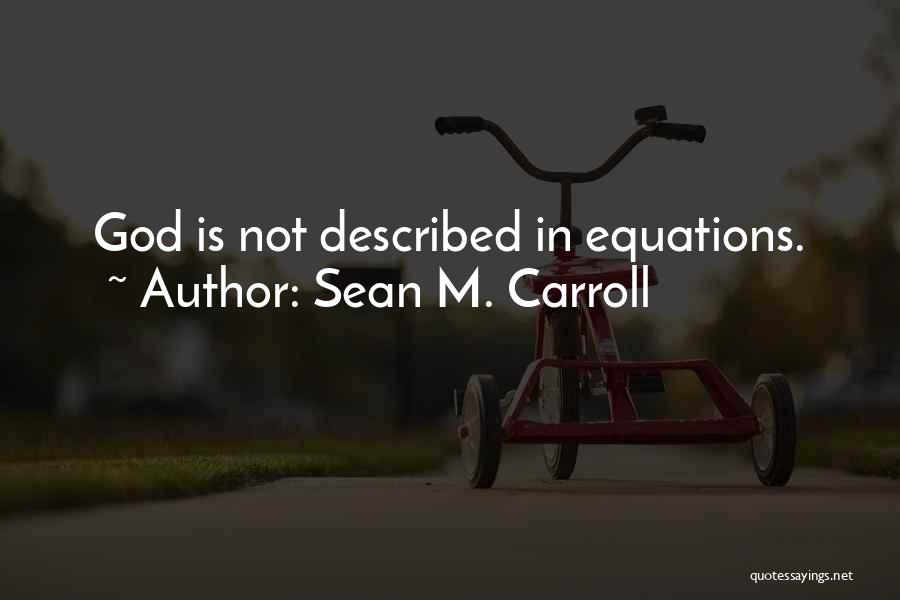 Sean M. Carroll Quotes 706814