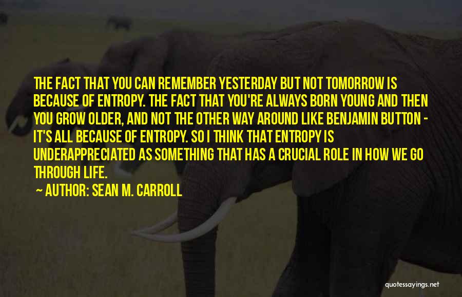 Sean M. Carroll Quotes 853633