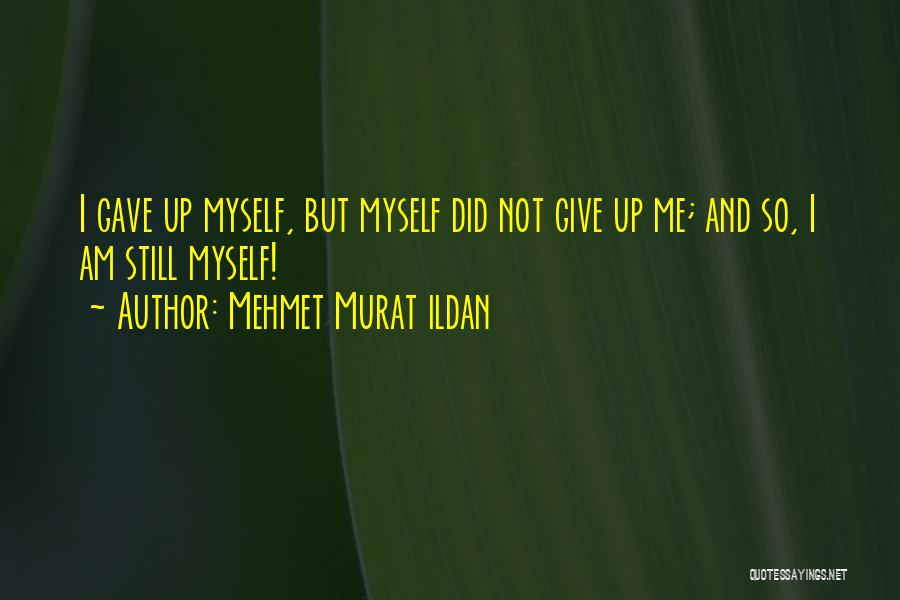 Sean Mcdermott Quotes By Mehmet Murat Ildan