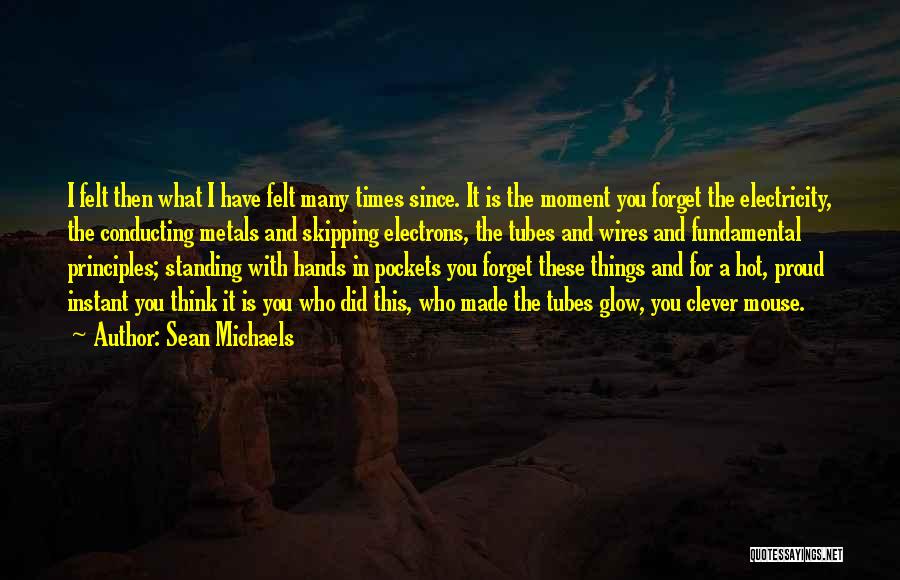 Sean Michaels Quotes 1261326