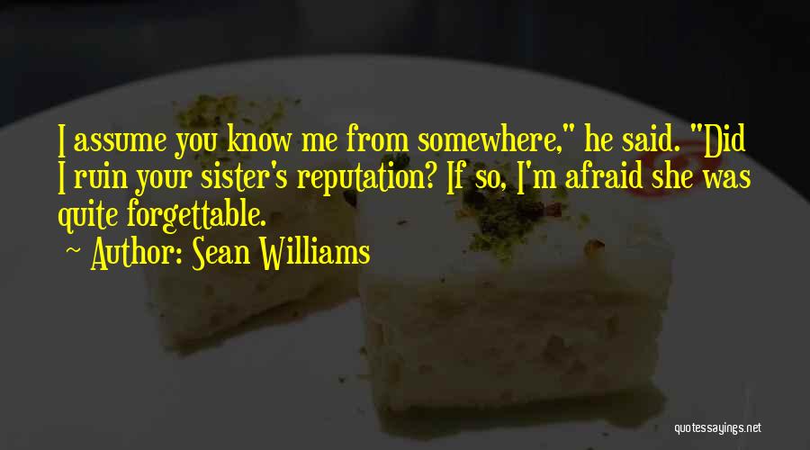 Sean Williams Quotes 1935623