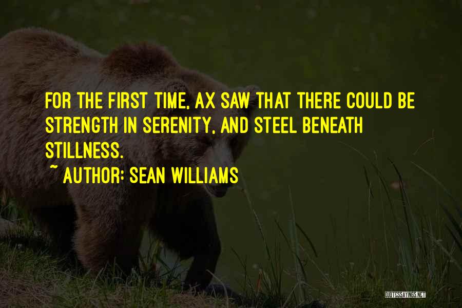 Sean Williams Quotes 612389
