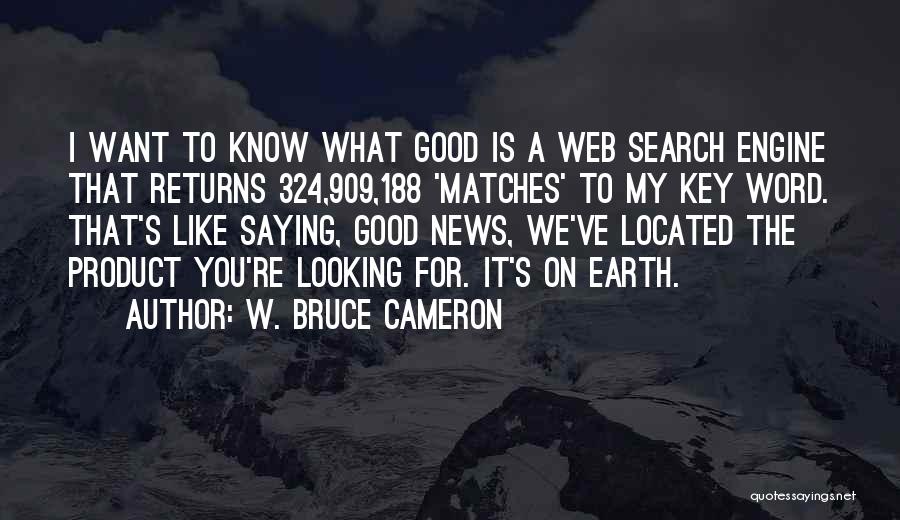 Search Engine Quotes By W. Bruce Cameron