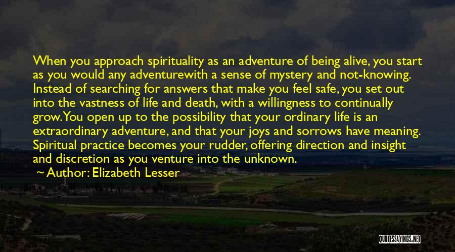 Searching For Meaning In Life Quotes By Elizabeth Lesser