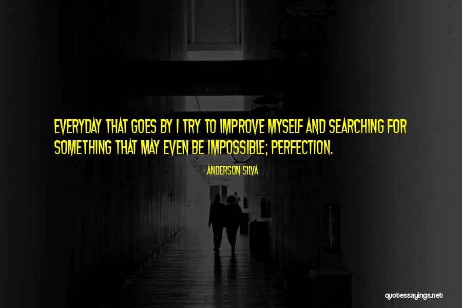 Searching For Perfection Quotes By Anderson Silva Searching For Perfection Quotes By Anderson Silva