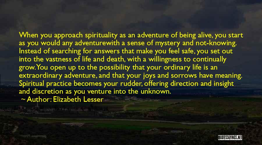 Searching For The Meaning Of Life Quotes By Elizabeth Lesser
