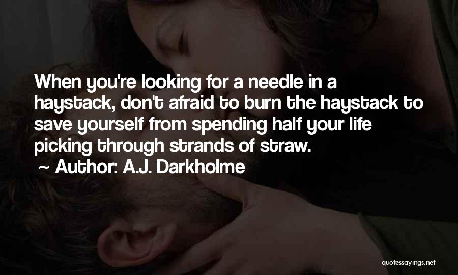 Searching For Yourself Quotes By A.J. Darkholme