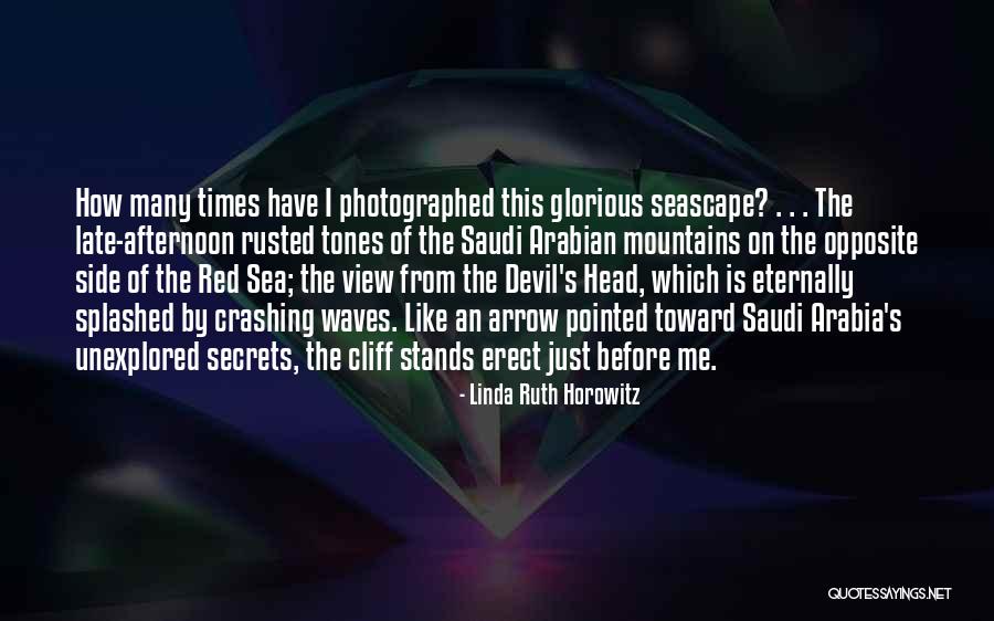 Seascape Quotes By Linda Ruth Horowitz