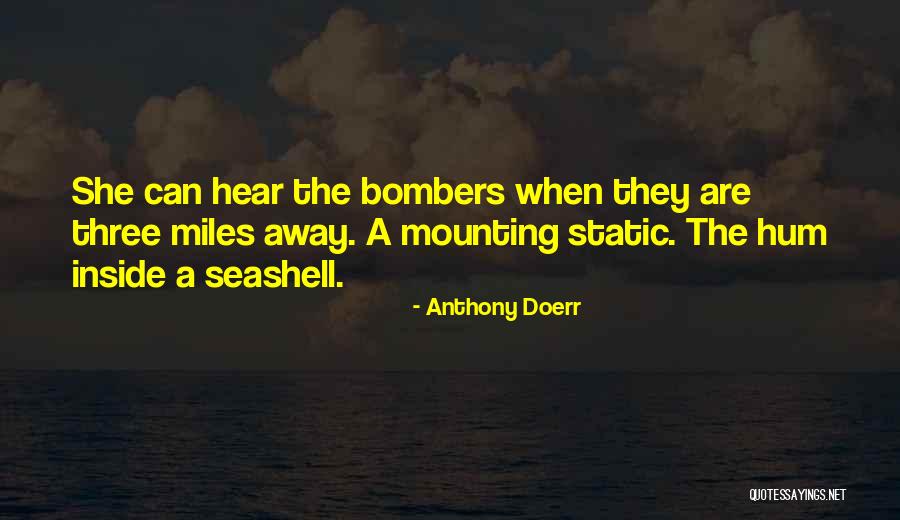 Seashell Quotes By Anthony Doerr