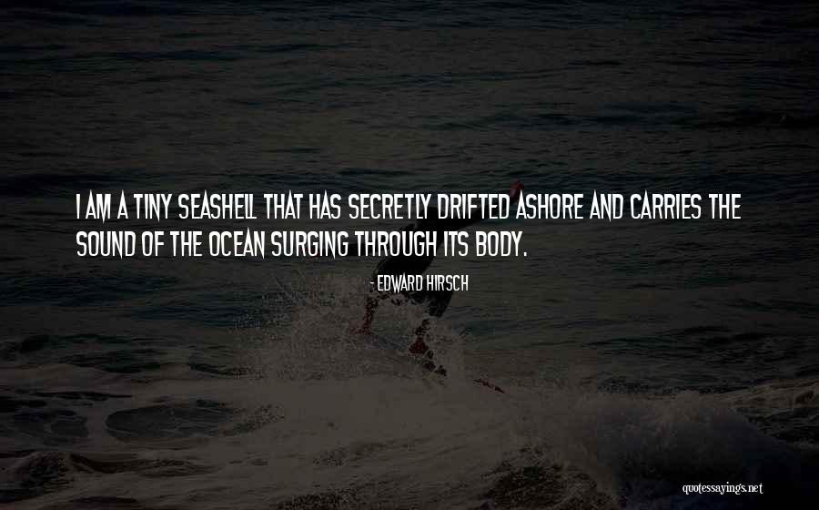 Seashell Quotes By Edward Hirsch Seashell Quotes By Edward Hirsch