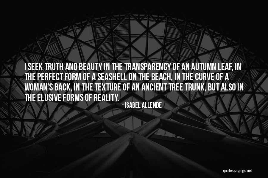 Seashell Quotes By Isabel Allende Seashell Quotes By Isabel Allende